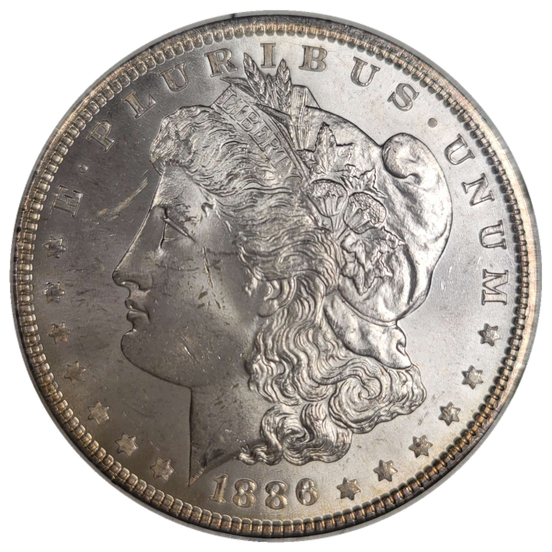 1886-$1-Morgan-Dollar-#19
